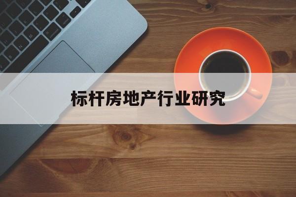 同仁市标杆房地产行业研究(房地产领域的标杆人物)