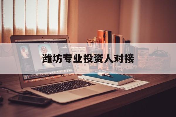 同仁市潍坊专业投资人对接(潍坊专业投资人对接中心)