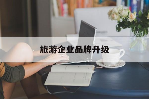 同仁市旅游企业品牌升级(旅游企业品牌升级措施)
