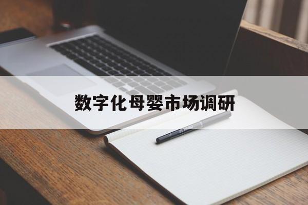 同仁市数字化母婴市场调研(数字化母婴市场调研报告)